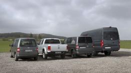 Volkswagen Amarok Double Cab - widok z tyłu