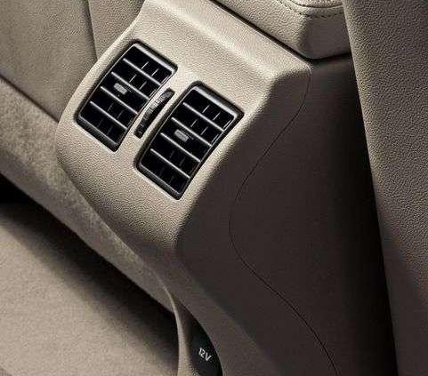 Trzybryłowy światowiec