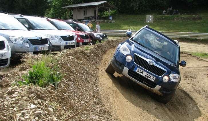 Stwór miejsko - leśny