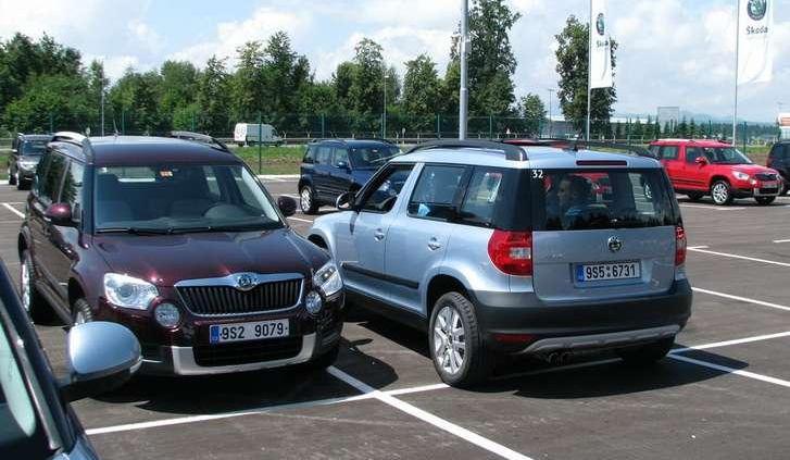 Stwór miejsko - leśny