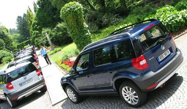 Stwór miejsko - leśny