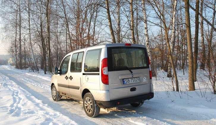 Włoski wielozadaniowiec