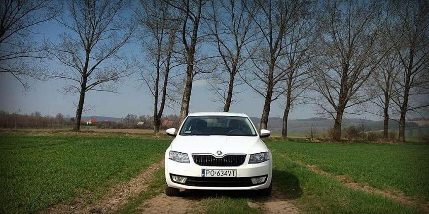 Prawda prosto w oczy - test paliwowy nowej Octavii
