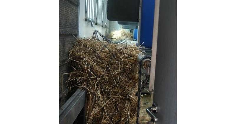 Bukmanka - kamper do przewozu koni