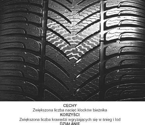 Fulda. Czarna. Szeroka. Mocna.