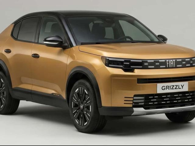 Fiat Grizzly Fastback - Dane techniczne