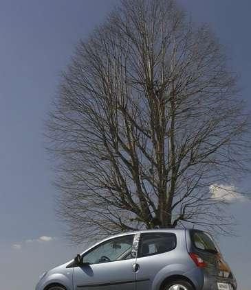 Renault Twingo - auto służbowe dla kobiet?