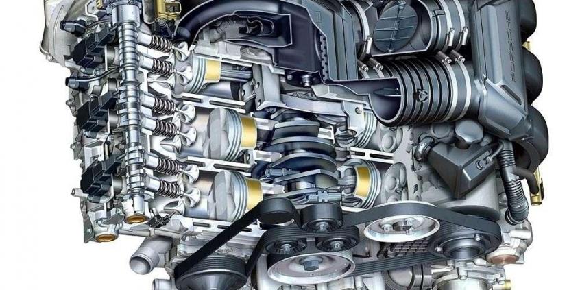 Bokser z drugiej ręki. Czy warto kupić?