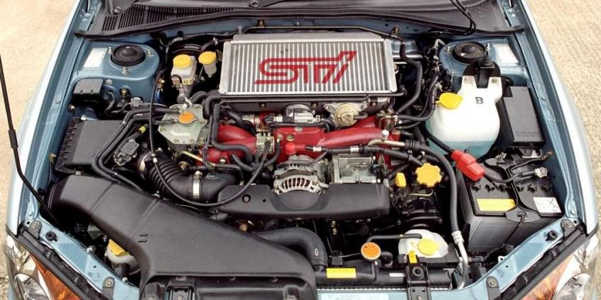 Bokser z drugiej ręki. Czy warto kupić?