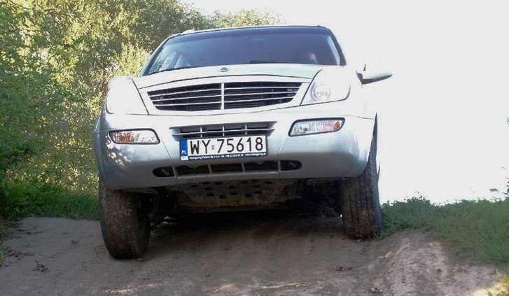 Najładniejsze z brzydkich kaczątek