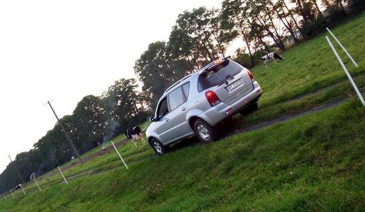 Najładniejsze z brzydkich kaczątek