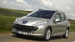 Peugeot 207 Kombi - widok z przodu