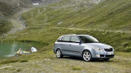 Skoda Fabia II Kombi - widok z przodu
