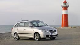 Skoda Fabia II Kombi - widok z przodu
