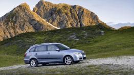 Skoda Fabia II Kombi - prawy bok