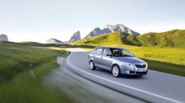 Skoda Fabia II Kombi - widok z przodu