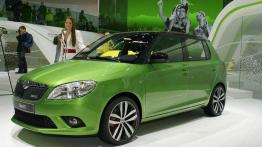 Skoda Fabia RS (Combi)