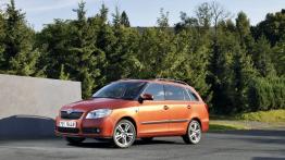 Skoda Fabia II Kombi - widok z przodu