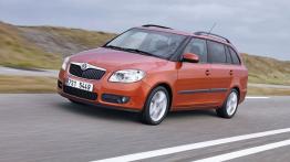 Skoda Fabia II Kombi - widok z przodu