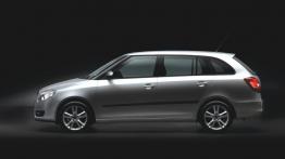 Skoda Fabia II Kombi - lewy bok