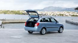 Skoda Fabia II Kombi - widok z tyłu