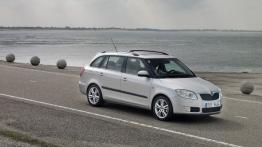 Skoda Fabia II Kombi - widok z przodu