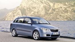 Skoda Fabia II Kombi - widok z przodu