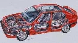 Bokser z drugiej ręki. Czy warto kupić?