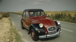 Bokser z drugiej ręki. Czy warto kupić?