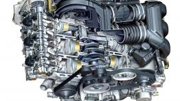 Bokser z drugiej ręki. Czy warto kupić?