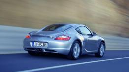 Bokser z drugiej ręki. Czy warto kupić?