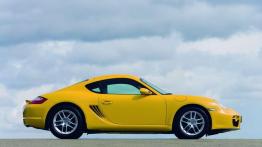 Bokser z drugiej ręki. Czy warto kupić?