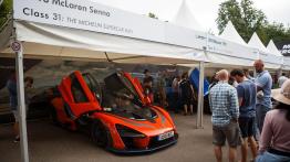 Moc atrakcji na Goodwood Festival of Speed (i dużo zdjęć)