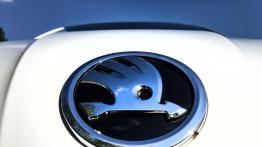 Skoda Fabia Drive – czy może nas zaskoczyć?