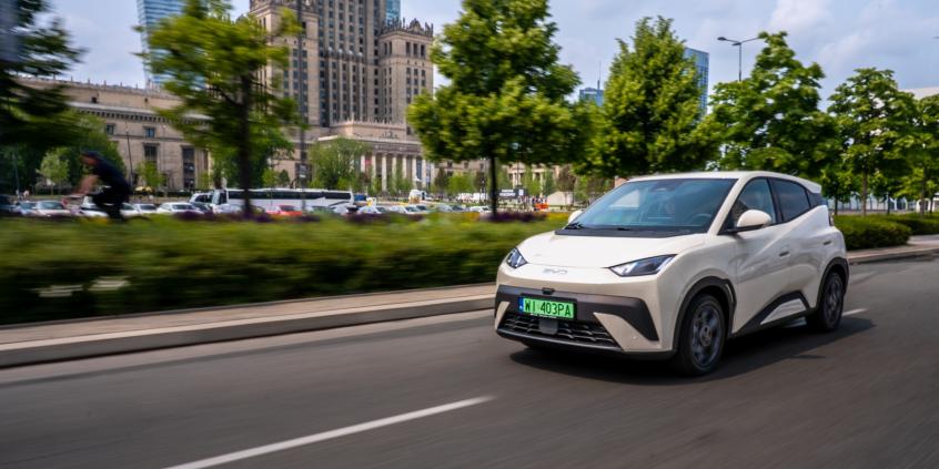 Najpopularniejsze elektryki w Polsce i Europie - porównanie preferencji nabywców