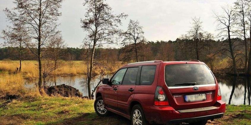 Niezniszczalny leśnik - Subaru Forester (2002-2008)