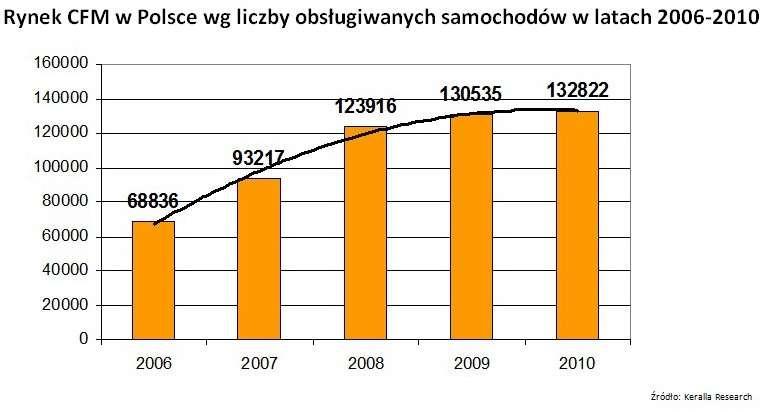Rynek Car Fleet Management w 2010