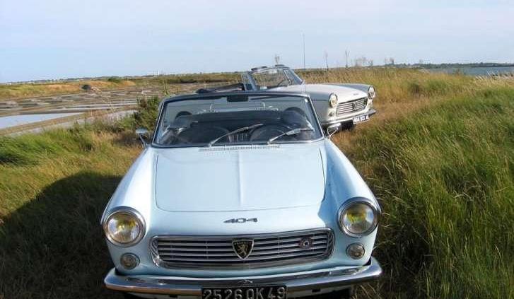 Francuski muszkieter