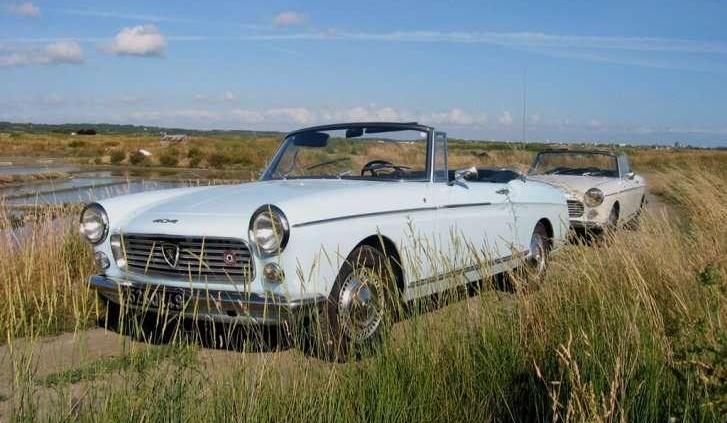 Francuski muszkieter