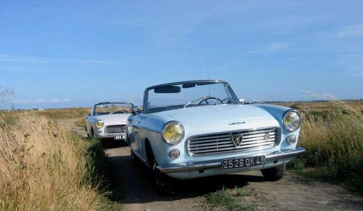 Francuski muszkieter