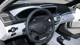 Mercedes S500 Inden Design - pełny panel przedni