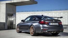 BMW M4 GTS oficjalnie - festiwal włókna węglowego