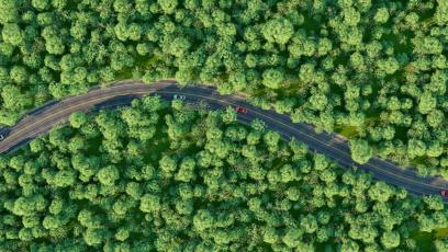 Stellantis i Nissan szykują wielki ruch. Ważą się losy motoryzacyjnego giganta