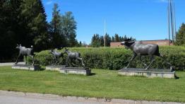 Volvo V40 Ocean Race - wyruszamy w drogę...