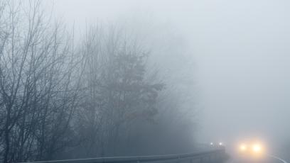 Półkola przy drodze mówią, kiedy zwolnić. Austria ma nietypowy sposób na mgłę