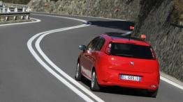 Fiat Punto 2012 - widok z tyłu
