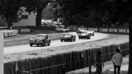 Szybkie ściganie podczas Festiwalu Szybkości w Goodwood