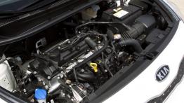 Kia Rio 2011 Hatchback 5d - silnik