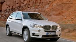 BMW X5 III (2014) xDrive30d - widok z przodu