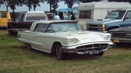 Dzieje grzmiącego ptaka - Ford Thunderbird